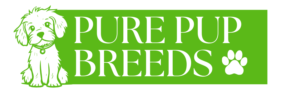 Pure Pup Breeds